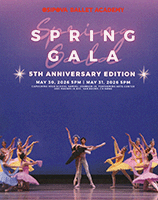 OBAspringgala
